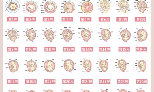 绿茶的种类中哪种最好专区_绿茶中什么绿茶最营养成份高专区_绿茶中什么绿茶最营养成份网