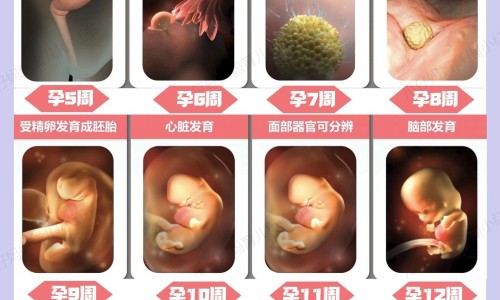 绿茶的种类中哪种最好专区_绿茶中什么绿茶最营养成份高专区_绿茶中什么绿茶最营养成份网